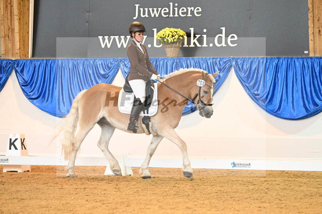 Kat-Nr. 264 Eloisa_Wolf_54222053 | hf-fotografie - Realisiert mit Pictrs.com