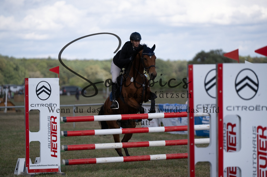 A7V09154 | Pferdefotograf