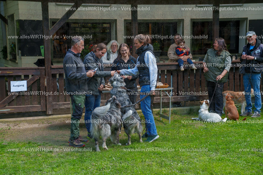 @allesWIRTHgut_Tierfotografie - www.allesWIRTHgut.de - 7R506144 | Professionelle Tierfotografie in Mönchengladbach von Daniel Wirth (allesWIRTHgut). Liebevolle & natürliche Bilder von Hunden & Katzen für unvergessliche Erinnerungen.