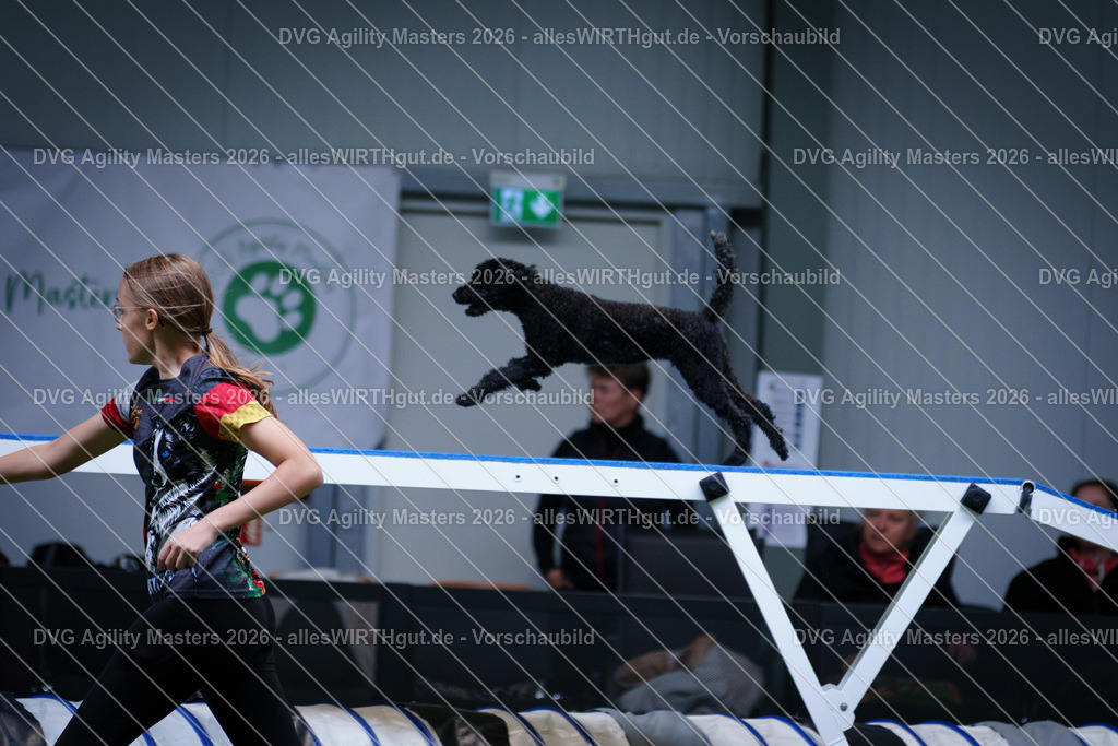 allesWIRTHgut_Tierfotografie-DVG_Agility_Masters_2026-13_37-7R503613 | Professionelle Tierfotografie in Mönchengladbach von Daniel Wirth (allesWIRTHgut). Liebevolle & natürliche Bilder von Hunden & Katzen für unvergessliche Erinnerungen.