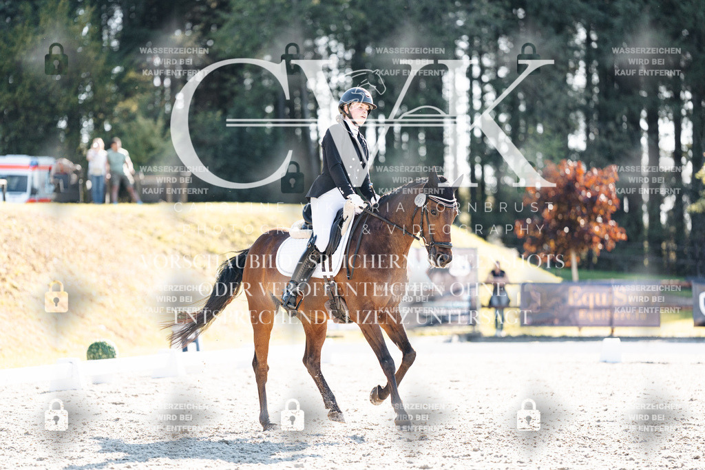 CK906259 | Turnierfotografie Pferdefotografie Trier Rheinland-Pfalz Pferdesport Reitsport Tierfotografie Sportfotografie Pferdevideo Pferdevideografie Equestrianvideography equestrianphotography  - Realisiert mit Pictrs.com
