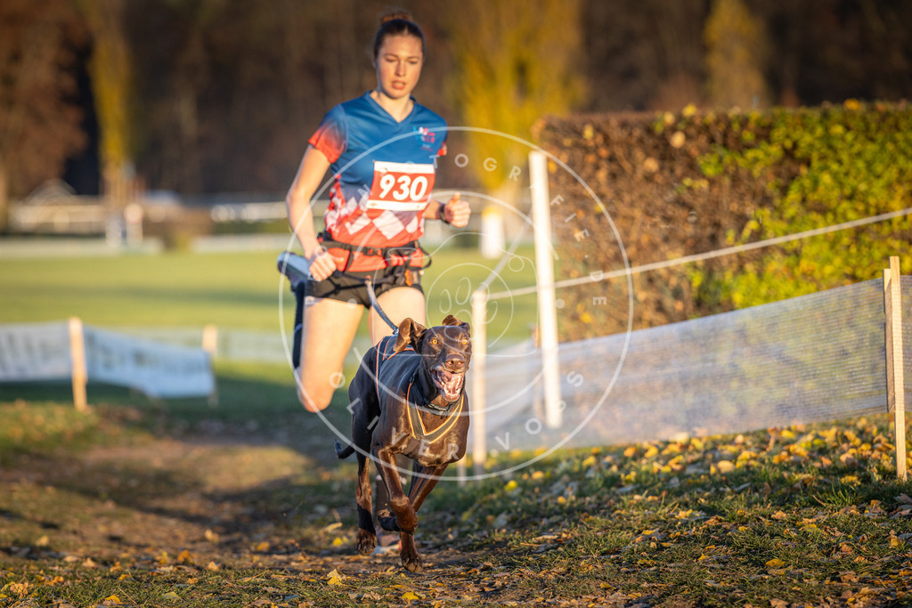 CaniXpix_DV3A5146 | Hundefotografie, Tierfotograf, Pfotenfotografie, Fotoshooting Hund, Hunde Portrait, Hundesport, Hundeportraits, Heideshooting, Hunde, Sportfotograf, Hundefotograf, Turnierhundsport, THS,  - Realisiert mit Pictrs.com