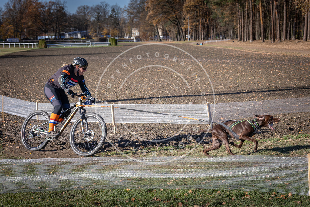 CaniXpix_DV3A6577 | Hundefotografie, Tierfotograf, Pfotenfotografie, Fotoshooting Hund, Hunde Portrait, Hundesport, Hundeportraits, Heideshooting, Hunde, Sportfotograf, Hundefotograf, Turnierhundsport, THS,  - Realisiert mit Pictrs.com