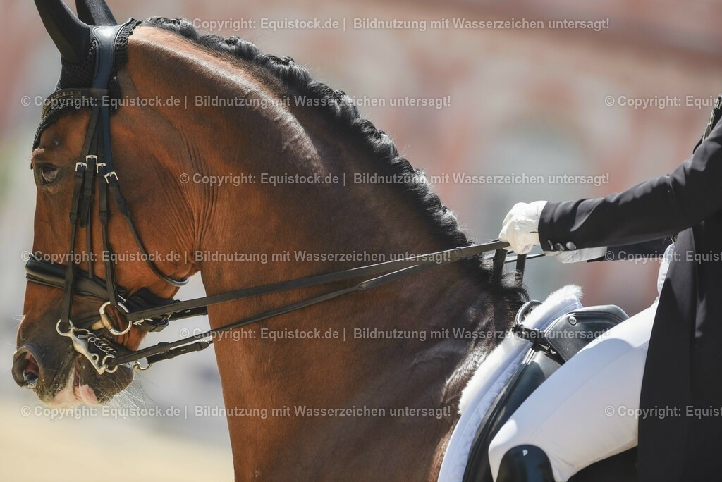 20230527_01_GP-Kür-Tour_0179 | equistock