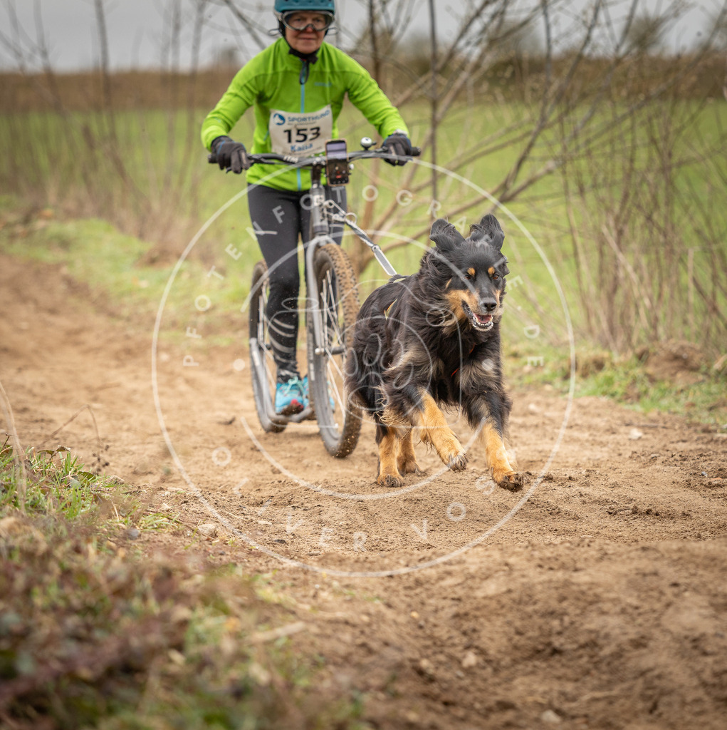DV3A1561 | Hundefotografie, Tierfotograf, Pfotenfotografie, Fotoshooting Hund, Hunde Portrait, Hundesport, Hundeportraits, Heideshooting, Hunde, Sportfotograf, Hundefotograf, Turnierhundsport, THS,  - Realisiert mit Pictrs.com