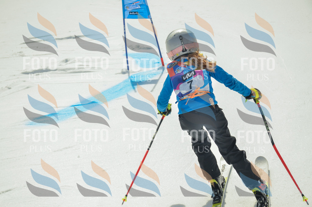 _ELE4494 | holidayphoto