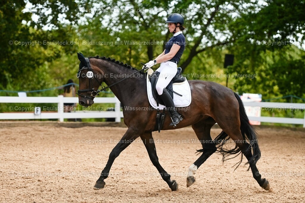 20230715_05_Dressurprüfung Kl.A++_0215 | equistock