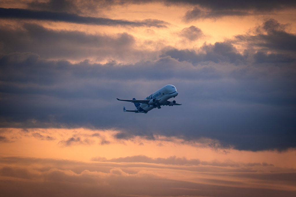 Airbus BelugaXL im Abendrot | Ein Airbus BelugaXL beim Steigflug über der Elbe während der Abenddämmerung. - Realisiert mit Pictrs.com