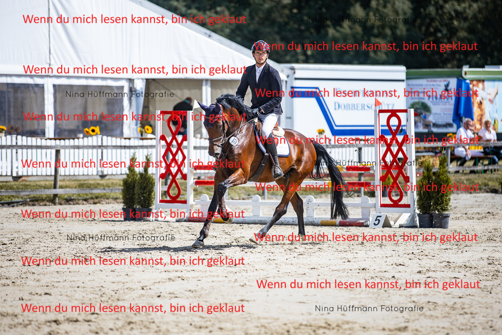 BK1A5165 | Turnierbilder Turnierfotos Nina Hüffmann Turnierfotografie Pferdefotografie Tierzeichnung Haustierzeichnung Pferdezeichnung Hundezeichnung Videograf  - Realisiert mit Pictrs.com
