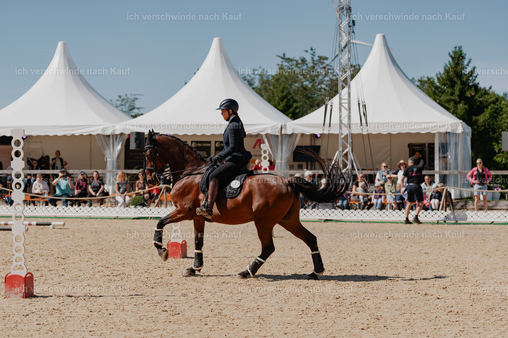 Nadine22_FHC2025-65 | working equitationturnier fotograf videograf stoibphotography marixx film working equitation deutschland reitsport turnierfotografie eventfotografie equestrian events