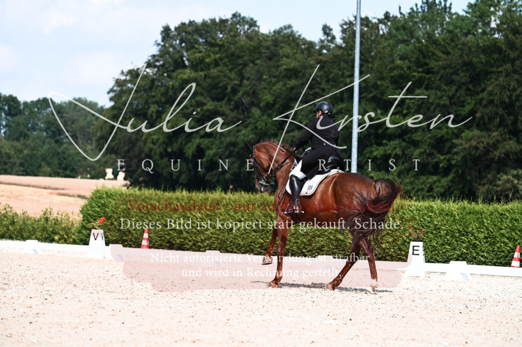 DSC_3279 | Pferde- und Turnierfotografie in Westsachsen. Pferdeportraits, Auftragszeichnungen und intuitive Kunst.