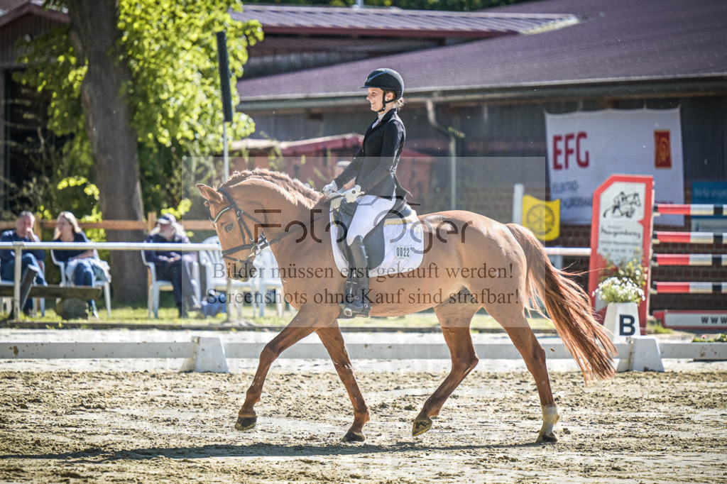 DOS_2708 | Entdecke hochwertige Reitturnierfotos von Foto Oger. Professionell, emotional und authentisch – jetzt Lieblingsmomente im Shop bestellen.Deutschlandweite Turnierfotografie. - Realisiert mit Pictrs.com