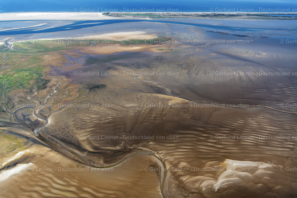 3801506 | Nordland südl. Westspitze von Juist, Memmert, Nationalpark Niedersächsisches Wattenmeer
