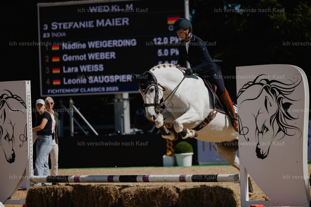 Steffi23_FHC2025-39 | working equitationturnier fotograf videograf stoibphotography marixx film working equitation deutschland reitsport turnierfotografie eventfotografie equestrian events