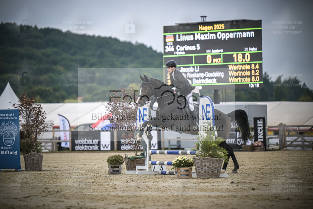 DOS_0577 | Entdecke hochwertige Reitturnierfotos von Foto Oger. Professionell, emotional und authentisch – jetzt Lieblingsmomente im Shop bestellen. - Realisiert mit Pictrs.com