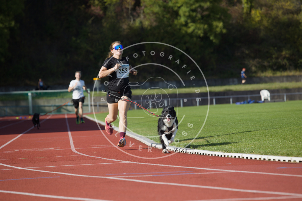 0L8A9946 | Hundefotografie, Tierfotograf, Pfotenfotografie, Fotoshooting Hund, Hunde Portrait, Hundesport, Hundeportraits, Heideshooting, Hunde, Sportfotograf, Hundefotograf, Turnierhundsport, THS,  - Realisiert mit Pictrs.com