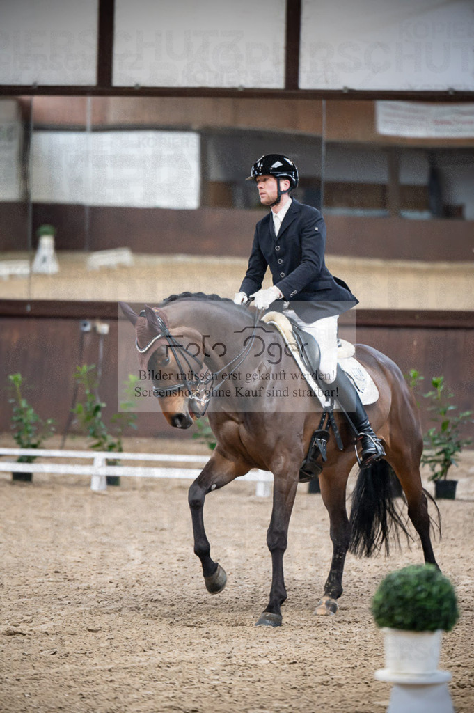 Hallenreittunier Voxtrup 2023 | Entdecke hochwertige Reitturnierfotos von Foto Oger. Professionell, emotional und authentisch – jetzt Lieblingsmomente im Shop bestellen.Deutschlandweite Turnierfotografie. - Realisiert mit Pictrs.com