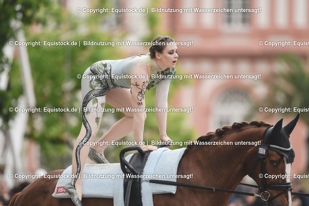 20240519_Voltige_0288 | Foto: Thomas Hartig
