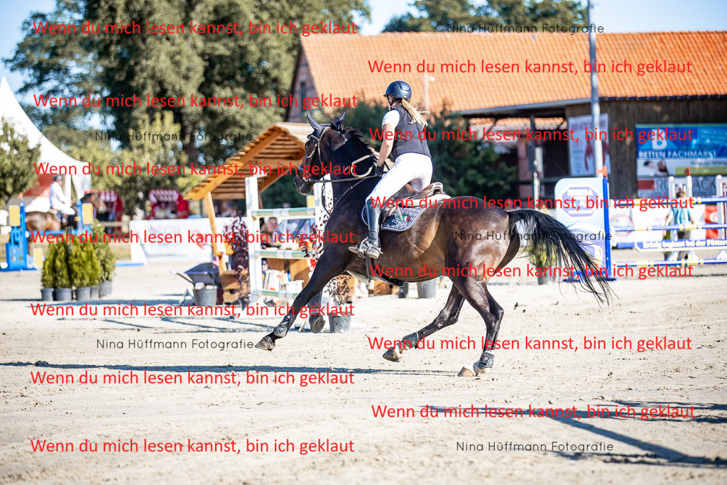 BK1A8142 | Turnierbilder Turnierfotos Nina Hüffmann Turnierfotografie Pferdefotografie Tierzeichnung Haustierzeichnung Pferdezeichnung Hundezeichnung Videograf  - Realisiert mit Pictrs.com