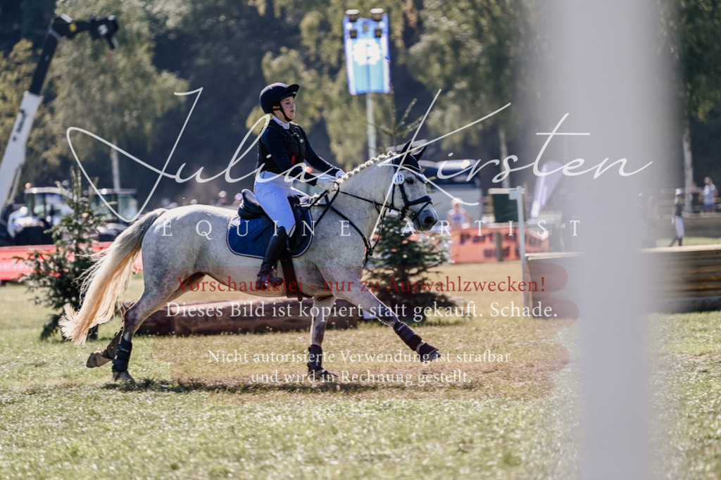 DSC_3191 | Pferde- und Turnierfotografie in Westsachsen. Pferdeportraits, Auftragszeichnungen und intuitive Kunst.