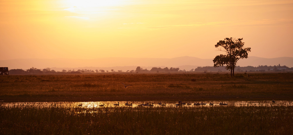 Abendstimmung an der Langen Lacke | Apetlon, Austria - May 16, 2015: Abendstimmung an der Langen Lacke. - Realisiert mit Pictrs.com