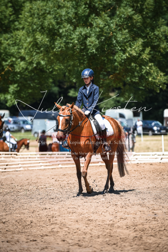 DSC_2934 | Pferde- und Turnierfotografie in Westsachsen. Pferdeportraits, Auftragszeichnungen und intuitive Kunst.