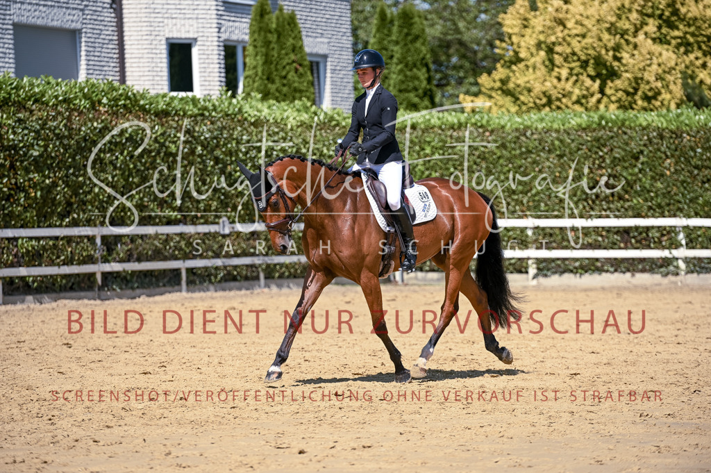 Schugtsche-Aluta25-49.Dressurpferdeprf.A-388 | Schugtsche Fotografie - Realisiert mit Pictrs.com
