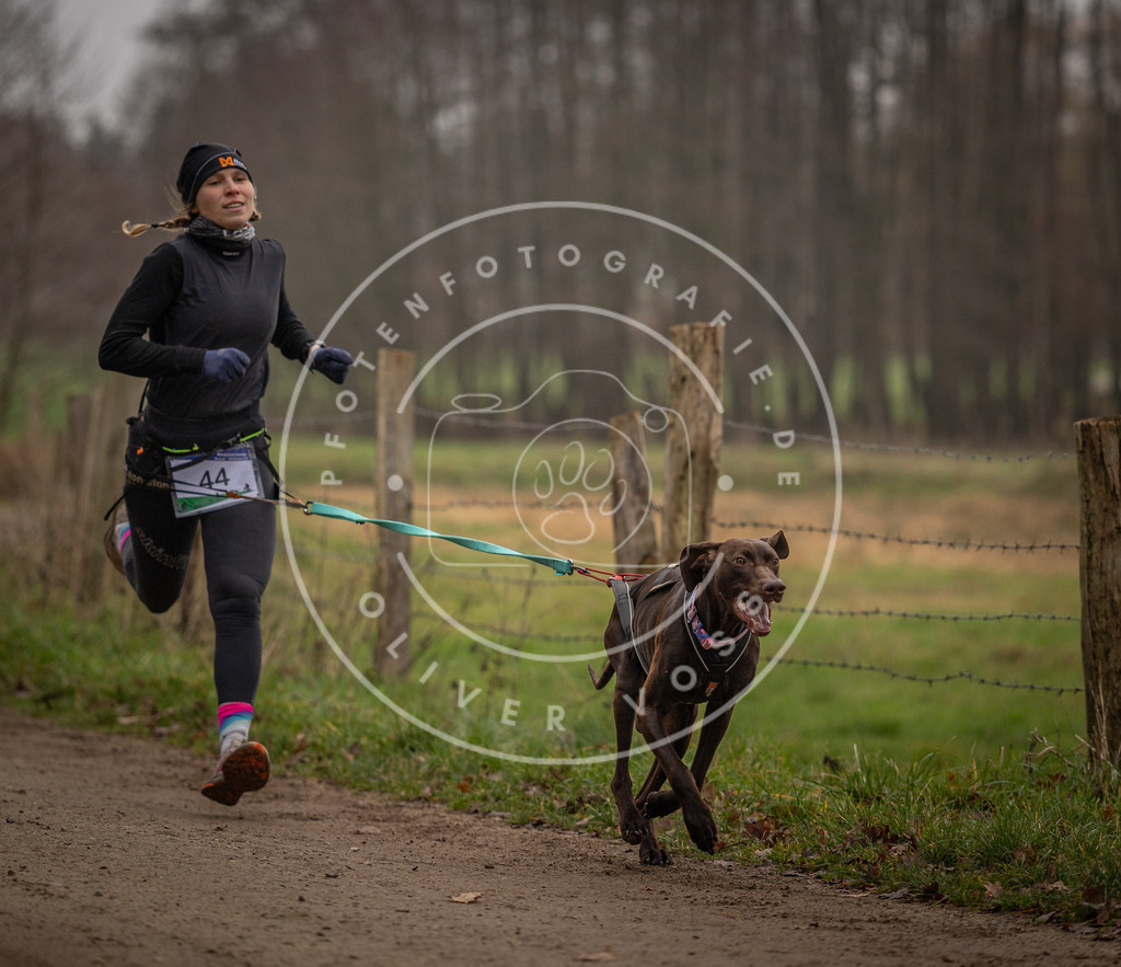 Pfotenfotografie_DV3A2705 | Hundefotografie, Tierfotograf, Pfotenfotografie, Fotoshooting Hund, Hunde Portrait, Hundesport, Hundeportraits, Heideshooting, Hunde, Sportfotograf, Hundefotograf, Turnierhundsport, THS,  - Realisiert mit Pictrs.com