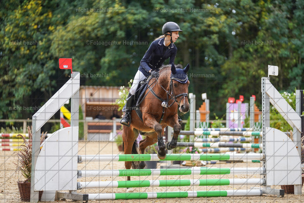 20221009-FAH08364 | Diessen am Ammersee, 2022, Dressur- und Springturnier, Reitsportbilder, Turnierfotografen Bayern, Pferdefotografen, Fotoagentur Herrmann, Turnierbilder