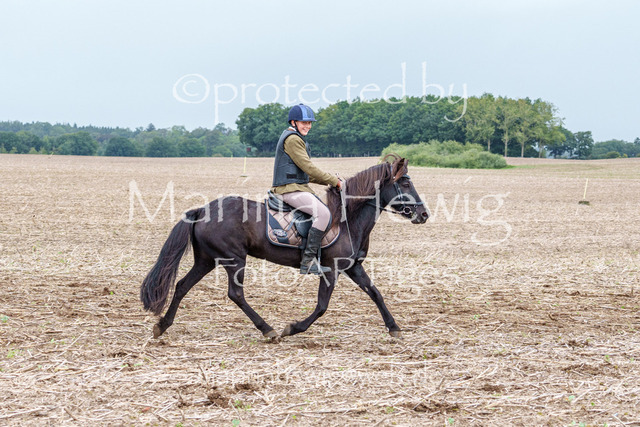 Jagd Perdoel 26 Sony-03359_MarinaHewig | Fotografie, FotoArt, PferdesportArt, Pferdesportfotografie, Landschaftsfotografie, Reisefotografie, Reise, Pferde - Realisiert mit Pictrs.com