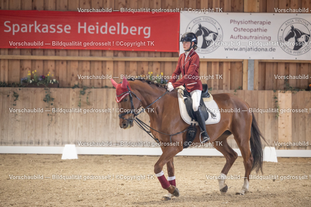 _D5A5519 | Emotionale Pferde- & People-Fotografie rund um Heidelberg, Leimen & Umgebung. Natürliche Fotos von Pferd, Mensch & Familie. Jetzt Termin sichern!