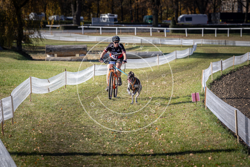 CaniXpix_DV3A6333 | Hundefotografie, Tierfotograf, Pfotenfotografie, Fotoshooting Hund, Hunde Portrait, Hundesport, Hundeportraits, Heideshooting, Hunde, Sportfotograf, Hundefotograf, Turnierhundsport, THS,  - Realisiert mit Pictrs.com