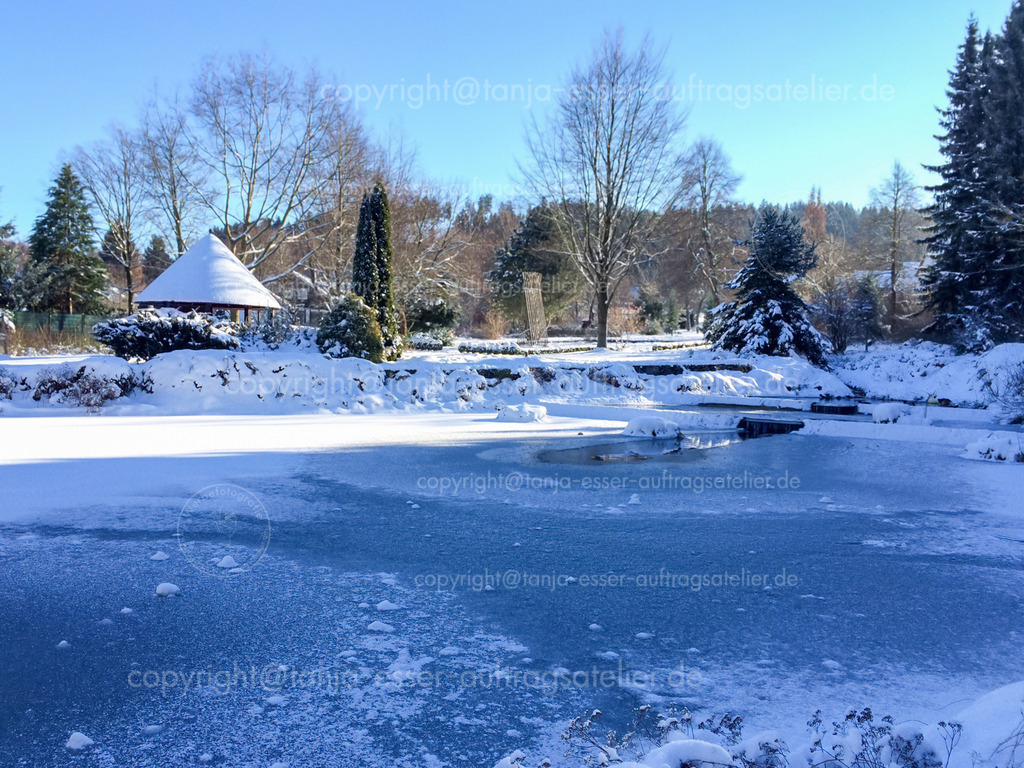 Zugefrorener Teich im Kurpark Brilon | Der Teich im Kurpark Brilon ist zugefroren. Eine dicke Eisschicht und loser Schnee liegen auf dem Wasser. Sonniger Wintertag.