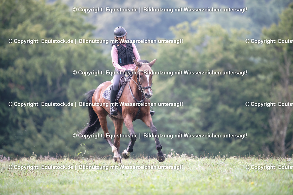 20250726_Vielseitigkeitslehrgang-Marbach_0044 | Foto: Thomas Hartig