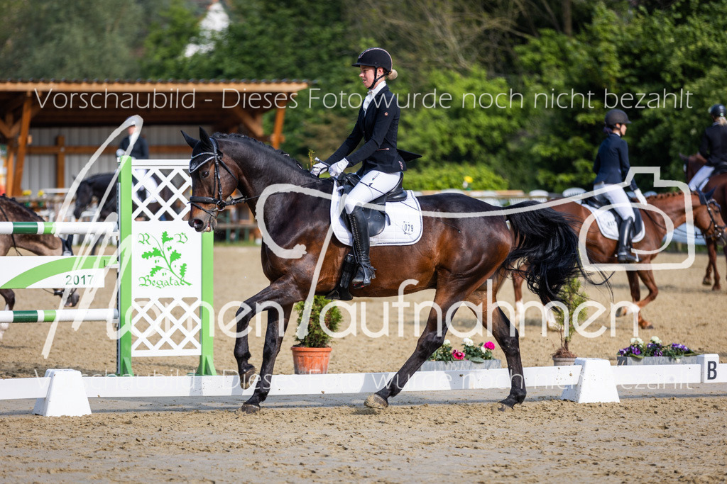 Donop24-A-Dre-090 | MomenTaufnahmen Pferdesportfotos