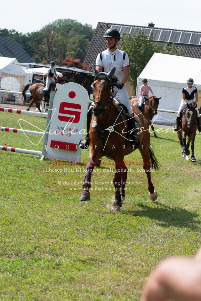 DSC_0688 | Pferde- und Turnierfotografie in Westsachsen. Pferdeportraits, Auftragszeichnungen und intuitive Kunst.