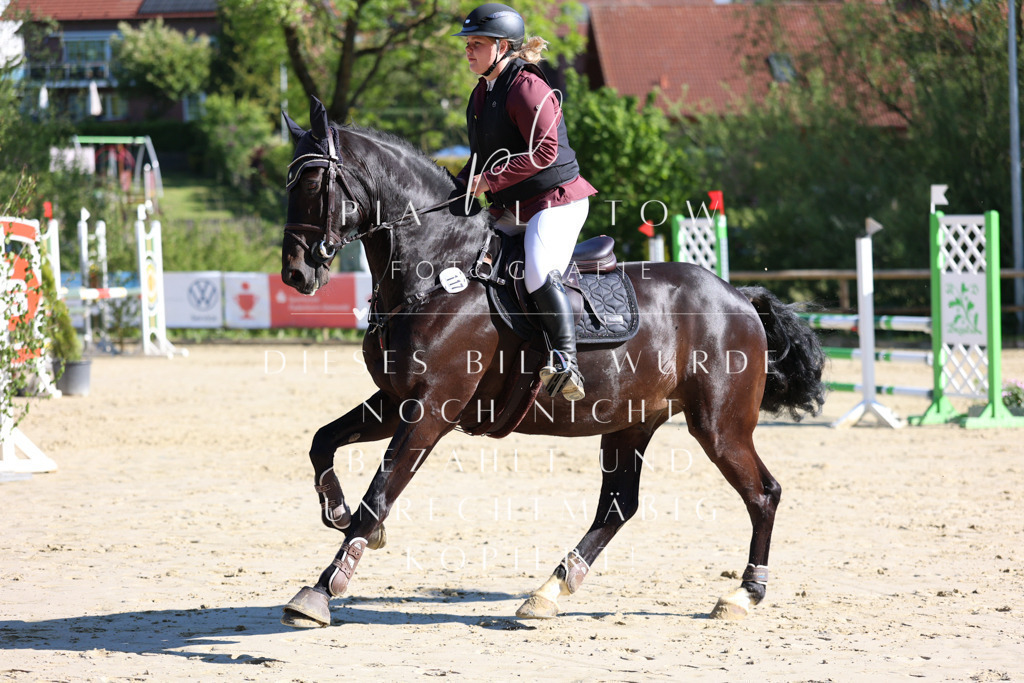 IMGS6431 | pl-fotografie