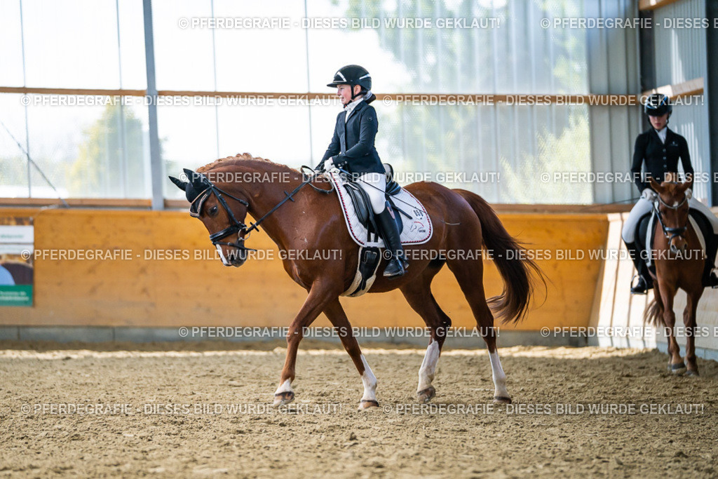 DSC05140 | Pferdegrafie