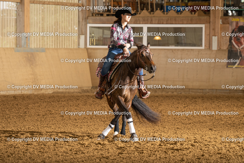 LAU00712 | dv-media-shop - Realisiert mit Pictrs.com