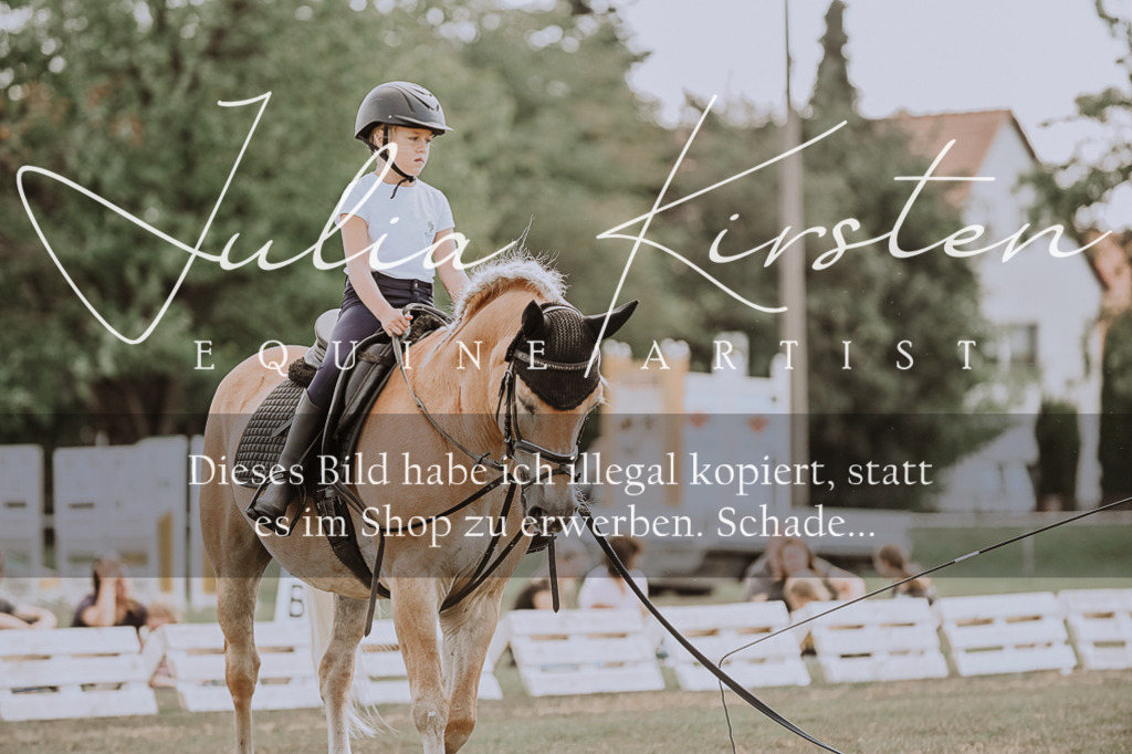 DSC_7661 | Pferde- und Turnierfotografie in Westsachsen. Pferdeportraits, Auftragszeichnungen und intuitive Kunst.