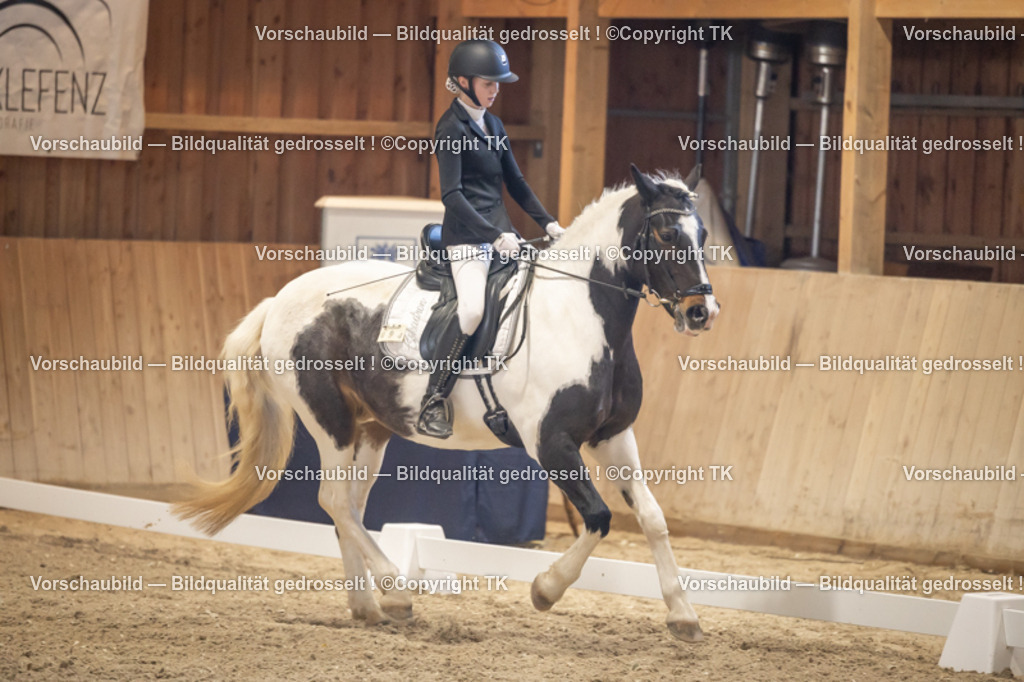 _D5A2399 | Emotionale Pferde- & People-Fotografie rund um Heidelberg, Leimen & Umgebung. Natürliche Fotos von Pferd, Mensch & Familie. Jetzt Termin sichern!