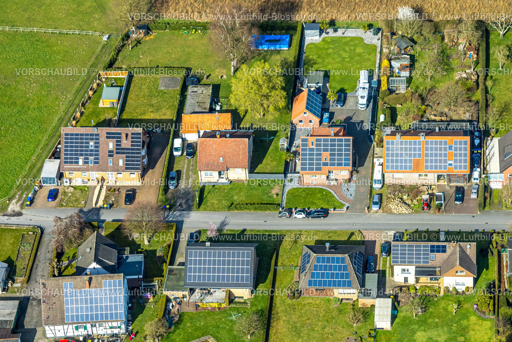 Selm260306914Bork | Luftbild, Wohnsiedlung Wiesenstraße, Häuser mit Solardach, Bork, Selm, Münsterland, Nordrhein-Westfalen, Deutschland