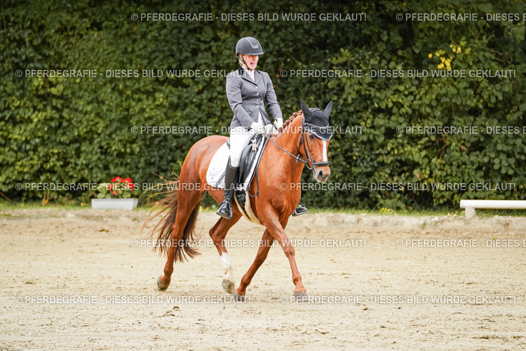 DSC08600 | Pferdegrafie