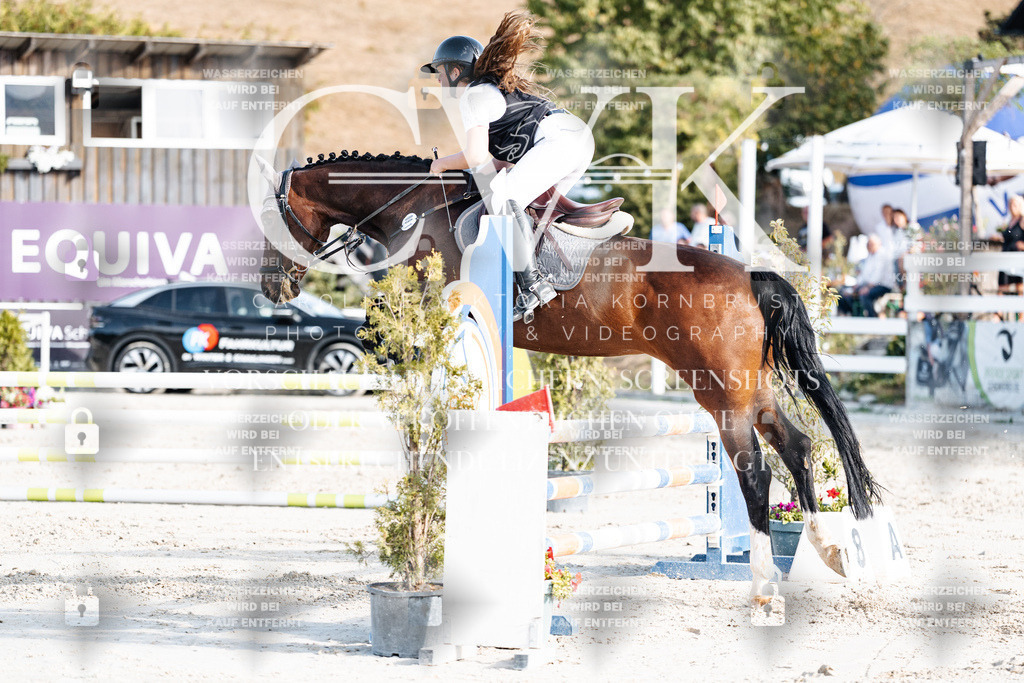 CK909581 | Turnierfotografie Pferdefotografie Trier Rheinland-Pfalz Pferdesport Reitsport Tierfotografie Sportfotografie Pferdevideo Pferdevideografie Equestrianvideography equestrianphotography  - Realisiert mit Pictrs.com