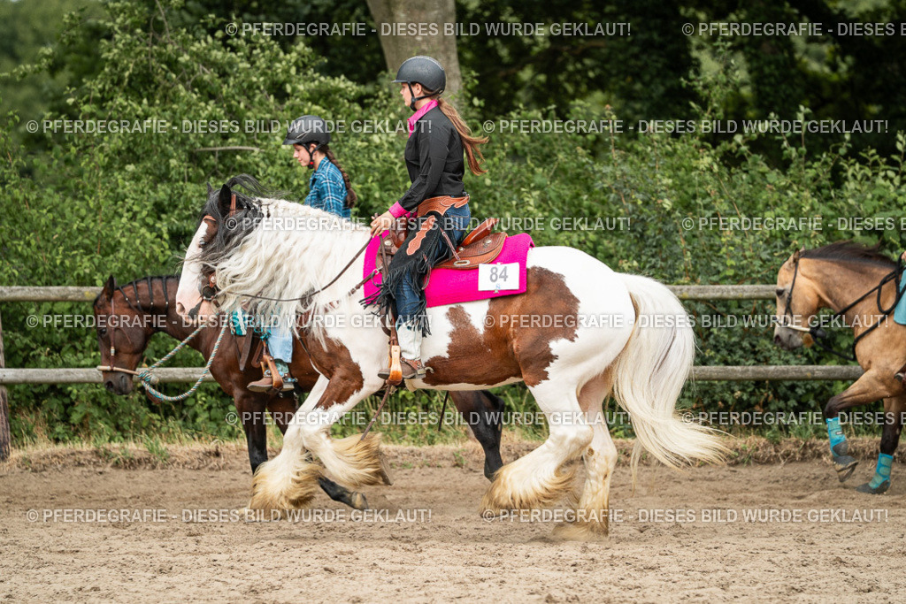 DSC03859 | Pferdegrafie