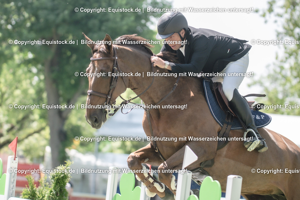 20230527_12_CSI4_Pfungstädter_0017 | equistock