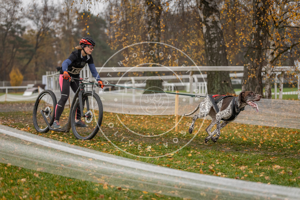 CaniXpix_DV3A8533 | Hundefotografie, Tierfotograf, Pfotenfotografie, Fotoshooting Hund, Hunde Portrait, Hundesport, Hundeportraits, Heideshooting, Hunde, Sportfotograf, Hundefotograf, Turnierhundsport, THS,  - Realisiert mit Pictrs.com