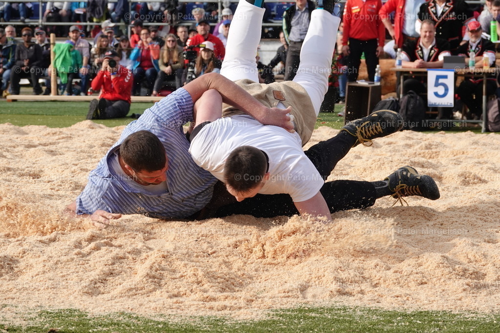 DSC03595 | Schwingen - Realisiert mit Pictrs.com