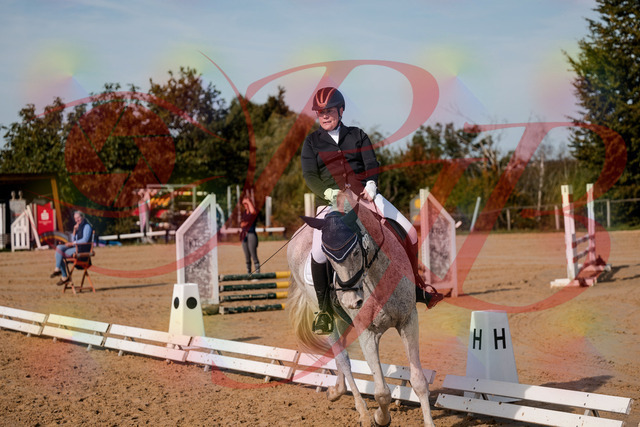2026_10_03_Siefer-Hof_123035_Z63_51527408 | Professionelle Reitsport-, Turnier- und Eventfotografie von Robert Broda. Galerien mit ausgewählten und bearbeiteten Bildern direkt online ansehen und bestellen.