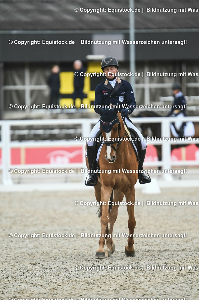20230512_CCI4_Dressur_0381 | equistock